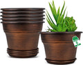 Plant Planters Pots Set of 6 Pack 6 Inch, Plastic Flower Pot for Indoor Plants with Drainage Holes & Trays, Resin Decorative Container Sets with Saucer for House Outdoor Garden Planters Dark Gold-Ruum Studio Home