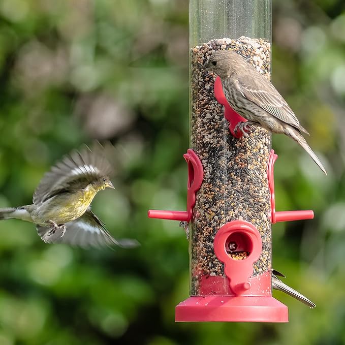 Kingsyard 2 Pack Tube Bird Feeders for Outdoors Hanging, Premium Hard Plastic Bird Feeder with 6 Feeding Ports, Weatherproof & Steel Hanger, Attracting for Wild Birds (Red)-Ruum Studio Home