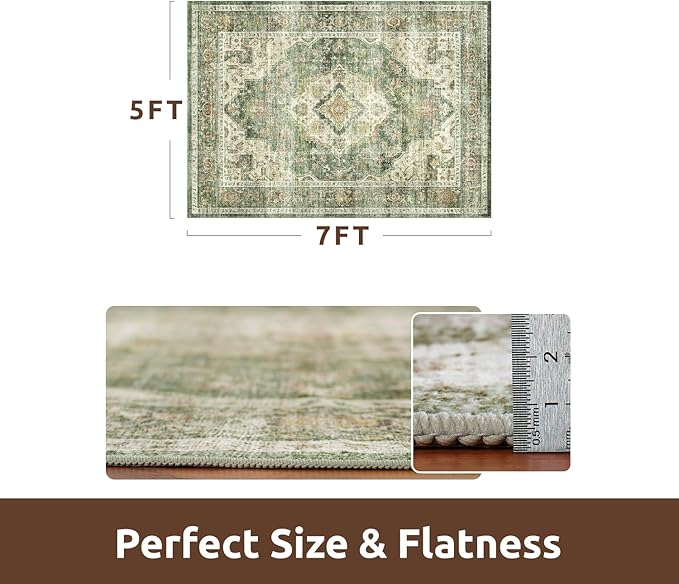 AMOAMI-Area Rug 5X7 Rugs for Living Room-Vintage Soft Green Rugs for Bedroom-Non Slip Carpet-Machine Washable Rug for Dining Room Living Room Bedroom Office Under Table-Ruum Studio Home