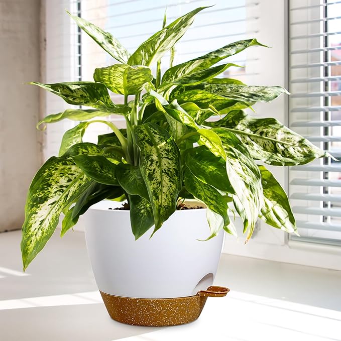 10/9/8 inch Medium Self Watering Pots, Planter, Plant Pots with Mesh Drainage Holes for Indoor Outdoor Garden Plants, Plastic Flower Pots with Removable Deep Reservoir, White with Brown-Ruum Studio Home