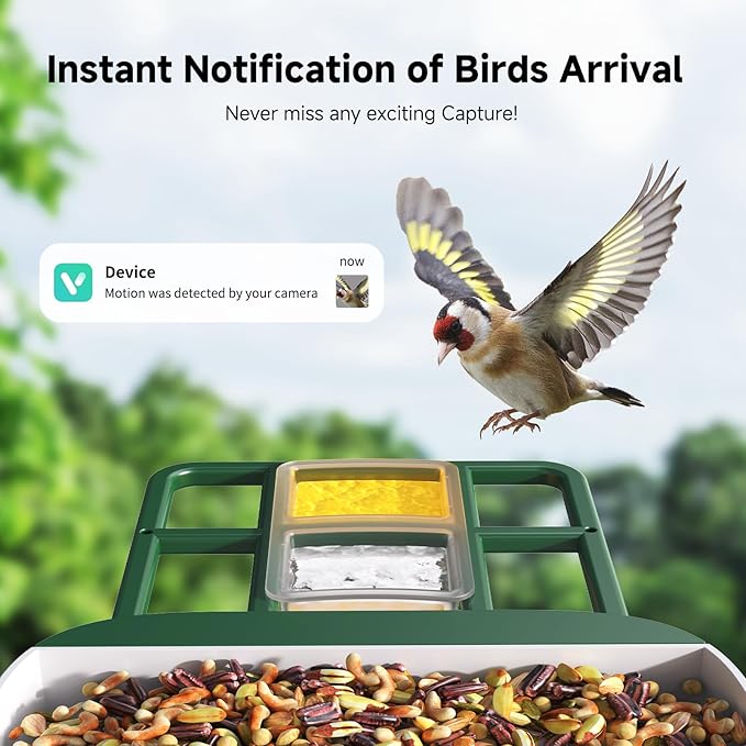 Bird Feeder with Camera AI Identify 2K Live Video Smart Bird Feeder with Camera, 2.4GHZ WiFi Solar Birds House Cameras, Motion Detection Instant Arrival Alerts, Ideal Present for Birds Lovers-Ruum Studio Home