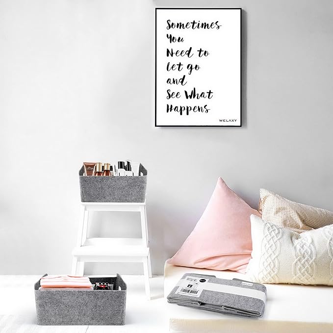 Welaxy Storage Baskets Collapsible Felt Storage bin Foldable Shelf Drawers Organizers for Kids Pet Toys magazine Books Clothes Closet Cabinet decluttering (Charcoal x 3)-Ruum Studio Home
