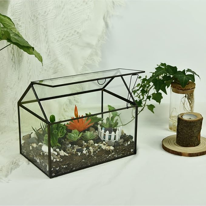 Black 1 Large Glass Plant Terrarium Kit with Lip Greenhouse for Succulents-Ruum Studio Home