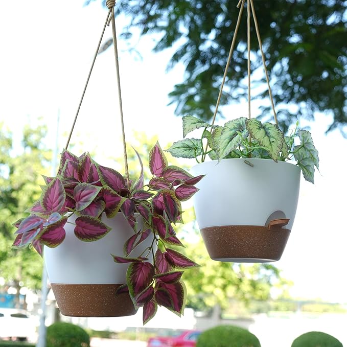 8 inch Hanging Planters, 2 Pack Self Watering Hanging Pots with 20oZ Deep Reservoir for Indoor Outdoor Plants Flowers, White with Brown-Ruum Studio Home