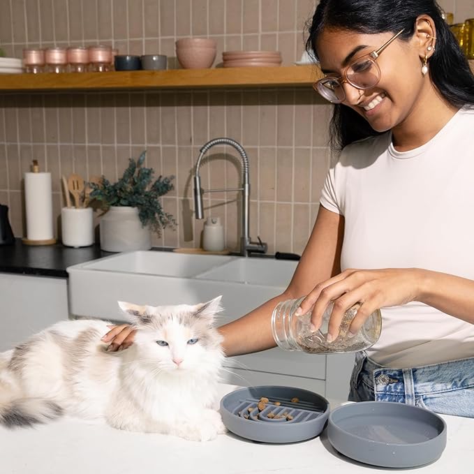 The Slowdown Bowl Silicone Slow Feeder for Cats & Kittens, Slow Eating Mealtime Solution with Modern Lick Mat Design, Reduces Gulping, Fits 1 Cup 6” Across x 1.25” Tall, Small-Tan-Ruum Studio Home