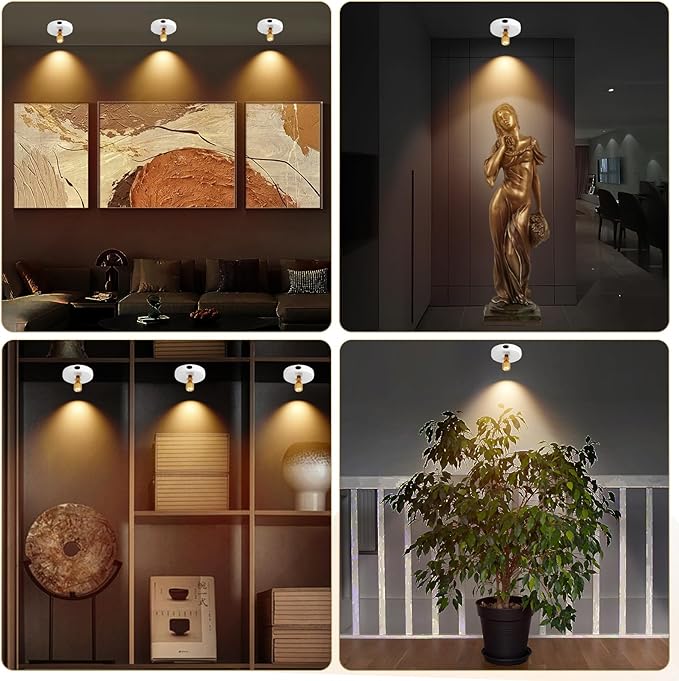 Rechargeable Spotlight, Battery Operated Picture Lights with Remote, Cordless Plant Spot Light Indoor, LED Accent Lighting, Dimmable Uplight for Tree Painting Artwork Photo Dartboard Decor-Ruum Studio Home