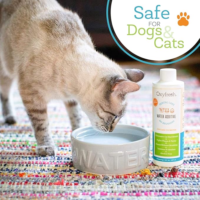 Oxyfresh Premium Pet Dental Care Solution Pet Water Additive: Best Way to Eliminate Bad Dog Breath and Cat Bad Breath - Fights Tartar & Plaque - So Easy, Just Add to Water! Vet Recommended 2 Pack-Ruum Studio Home