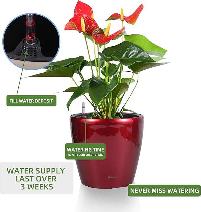 Dexceder 11x10 Inches High Gloss Self Watering Planter Indoor Outdoor, Inner Pot Design, Thickened Table Flower Plant Pot with Water Level Indicator (Red)-Ruum Studio Home