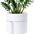 Phoenix Vine 8 Inch Self-Watering Planter Pot with Terracotta Insert, Deep Water Reservoir, and Ceramic-Alike BPA-Free Plastic Planter Pot for Plant, Modern Planter for Houseplants, White, 53-A-T-1-Ruum Studio Home