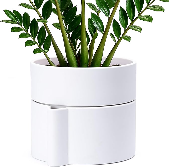 Phoenix Vine 8 Inch Self-Watering Planter Pot with Terracotta Insert, Deep Water Reservoir, and Ceramic-Alike BPA-Free Plastic Planter Pot for Plant, Modern Planter for Houseplants, White, 53-A-T-1-Ruum Studio Home