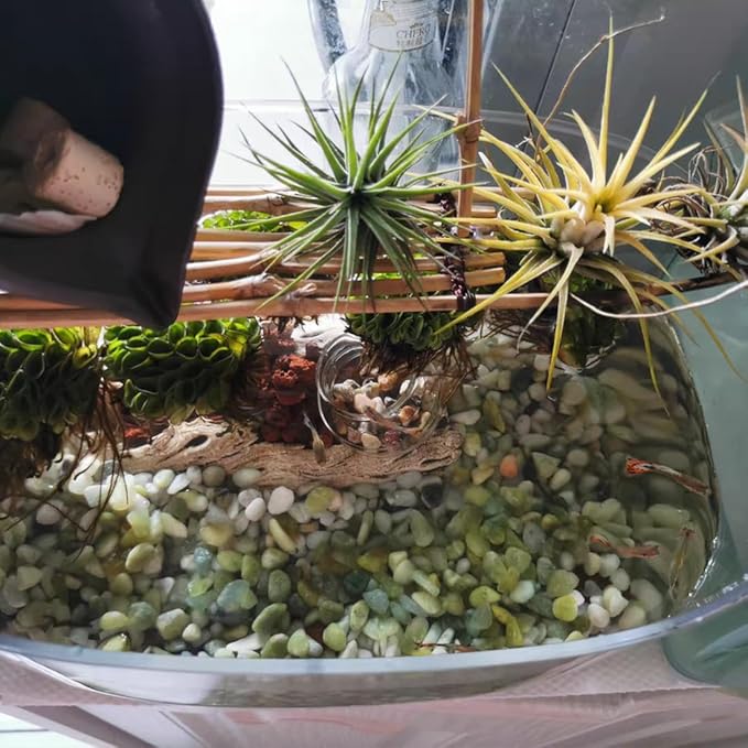 10LB Succulent and Cactus Pebbles, 1/5 Inch Jade Natural Decorative Polished Stones, River Rocks for Plants, Vases and Outdoor Gardening,Green-Ruum Studio Home