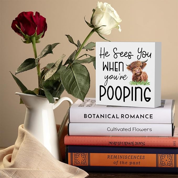 Funny Highland Cow Bathroom Decor Are You Pooping Sign Highland Cow Gifts for Women Highland Cow Nursery Decor, Wooden Box Decor Sign for Home Farmhouse Office Living Room Table Shelf Tiered-Ruum Studio Home