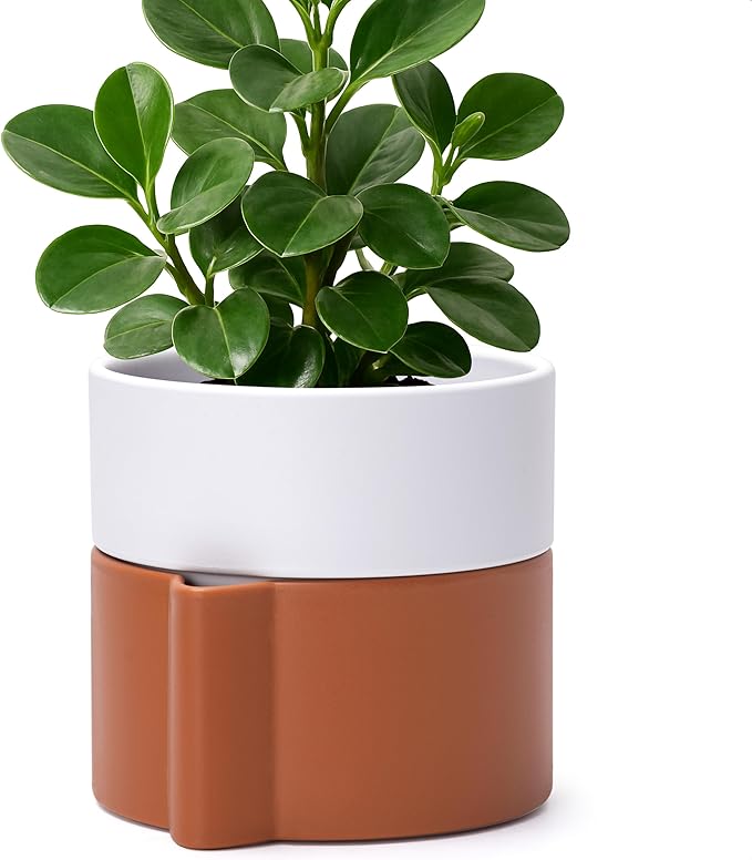 6.5 Inch Self-Watering Planter Pot with Terracotta Insert, Deep Water Reservoir, and Ceramic-Alike BPA-Free Plastic Pot for Plant, Modern Planter for Houseplants, Terracotta/White, 53-B-S-6-Ruum Studio Home