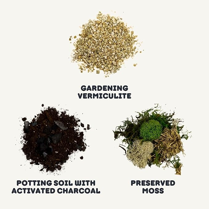 Cute Farms Terrarium Starter Kit | Moss, Vermiculite, Soil, Pebbles, Plant Food, Finishing Tools, Build and Care Guide | DIY Succulent Terrarium for Adults and Kids (Small)-Ruum Studio Home