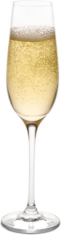 Ravenscroft Crystal Vintner's Choice Fluted Champagne Stemware, Set of 4-Ruum Studio Home