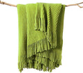 lifein Throw Blanket for Couch, Soft Green Boho Decor Bed Throw,Cozy Knitted Chenille Small Farmhouse Lightweight Throw for Spring(Green,50 * 60")-Ruum Studio Home