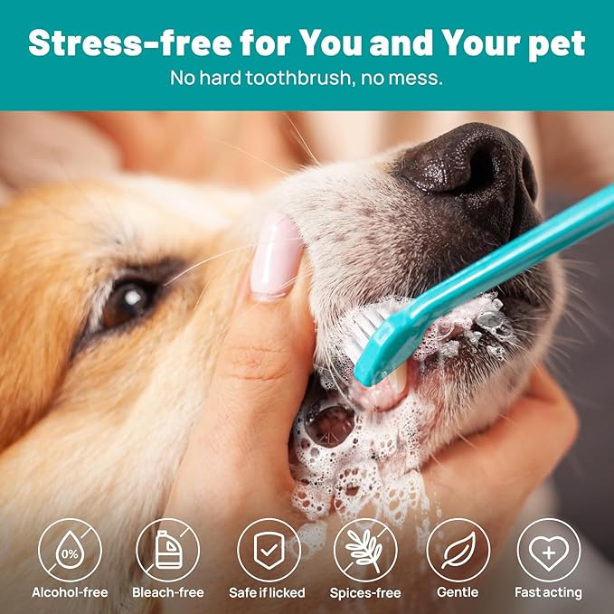 Dog Dental Care Finger Wipes - Teeth Cleaning Finger Wipes for Dog & Cats - Tooth Brushing Kit Dental Wipes for Dog - Reduces Plaque & Freshens Breath (50 PCS, Beef)-Ruum Studio Home