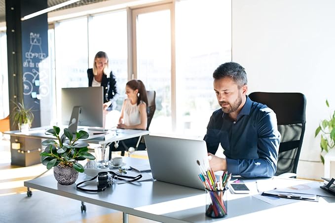 AlphaAcc Artificial Plants Potted Real Looking Small Faux Plant with Rustic Black Cement Planter for Kitchen Office Desk Bookshelf Decor (Ficus Plant)-Ruum Studio Home