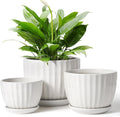 4/5/6 Inches Ceramic Plant Pots with Drainage Holes and Saucers, Round Flower Pots for Indoor Plant, Modern Flower Planters Set of 3 (White-Big Size)-Ruum Studio Home