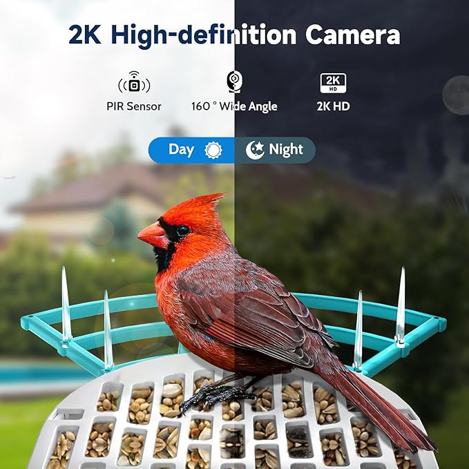 Smart Bird Feeder with Camera, 2K HD Bird Feeders for Outdoors with Solar Panel, Al Identification, Idea Gift, Blue-Ruum Studio Home
