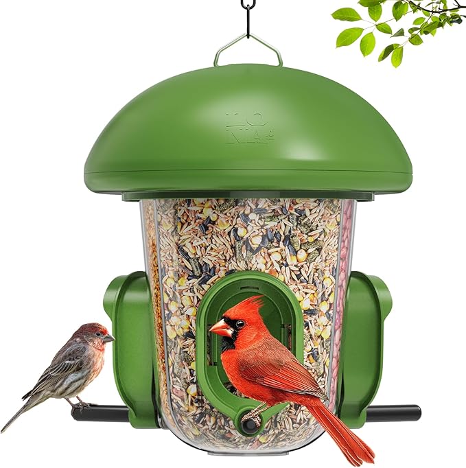 LONA Bird Feeders for Outdoors Hanging – 3 Separate Compartments, 3 Feeding Ports, Weatherproof Dome & 3 Ways to Hang, Large Capacity for Cardinals/Finches (Green-Ruum Studio Home