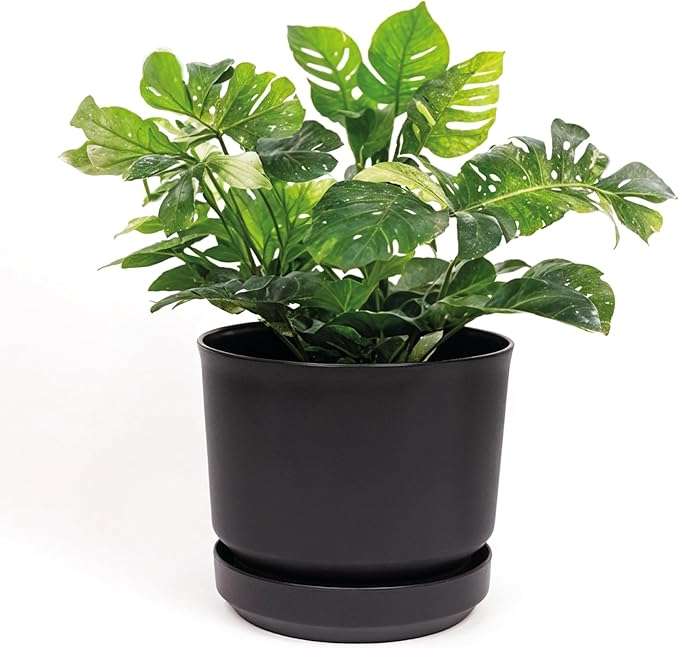 Elly Décor 12 inch Plastic Cylinder Planter Pot with Self-Watering Saucer and Drainage Hole,Lightweight & Extremely Durable, 12"x 12", Black-Ruum Studio Home