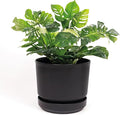 Elly Décor 14 inch Plastic Cylinder Planter Pot with Self-Watering Saucer and Drainage Hole,Lightweight & Extremely Durable, 14"x 14", Charcoal-Ruum Studio Home