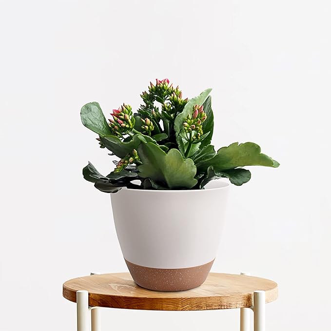Giraffe Creation Plant Pots Set of 3 (12/10/9 inch), Self-Watering Indoor & Outdoor Flower Planters with Drainage Hole and Reservoir, White-Ruum Studio Home