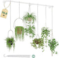 Plant Hanger Indoor with 6 Hanging Chains Hanging Planters for Indoor Plants Hanging Plant Holder Window Plant Shelves White Metal Rod(Pot not Included-Ruum Studio Home