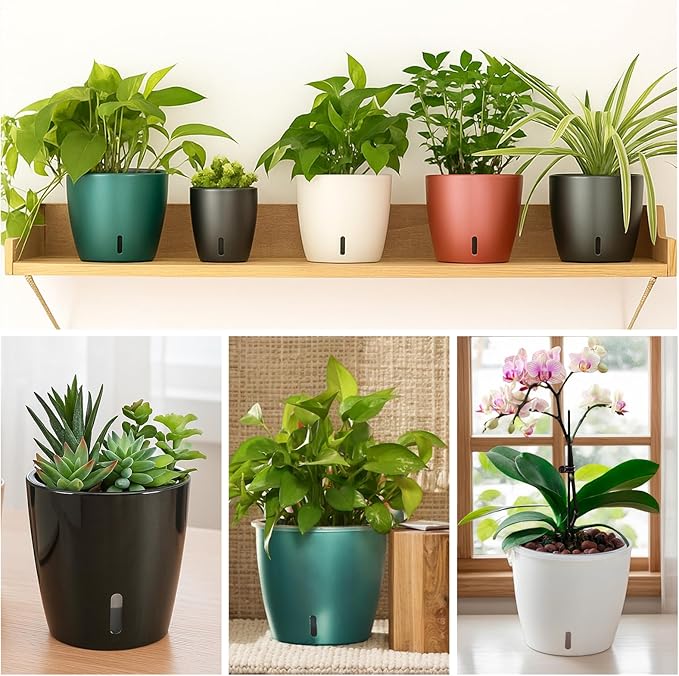 Self Watering Pots for Indoor Plants, 6-Pack 5'' Self Watering Planter with Drainage Holes, Small African Violet Pots with Water Indicator, Clear Wick Orchid Pot, Black-Ruum Studio Home