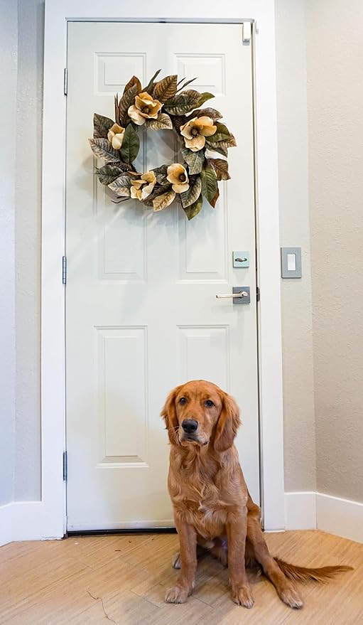 Admired By Nature 24" Magnolia Pine for Home Office Front Door Wreath, Wall Hanging Arrangement Decoration-Ruum Studio Home