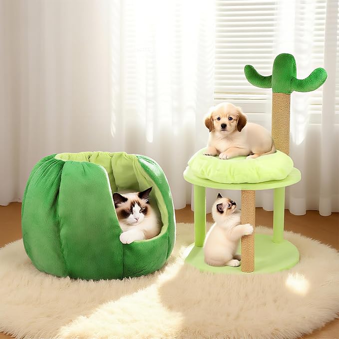 Cat Houses for Indoor Cats, Small Cat Tree with Sisal Ropes and Plush Perch, Cute Cat Bed Cave with Soft Pillow, Cactus Design-Ruum Studio Home