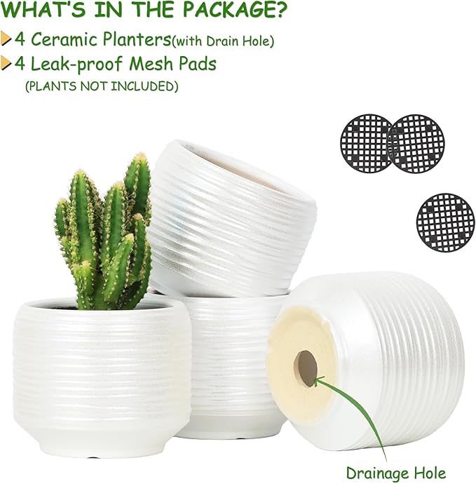 Mini Succulent Planter Set – 3.7 Inch Ceramic Pots with Drainage for Indoor Plants, Small Decorative Flower Pots for Cactus and House Plants, Set of 4-Ruum Studio Home