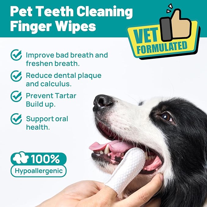 Dog Dental Care Finger Wipes - Teeth Cleaning Finger Wipes for Dog & Cats - Tooth Brushing Kit Dental Wipes for Dog - Reduces Plaque & Freshens Breath (50 PCS, Beef)-Ruum Studio Home