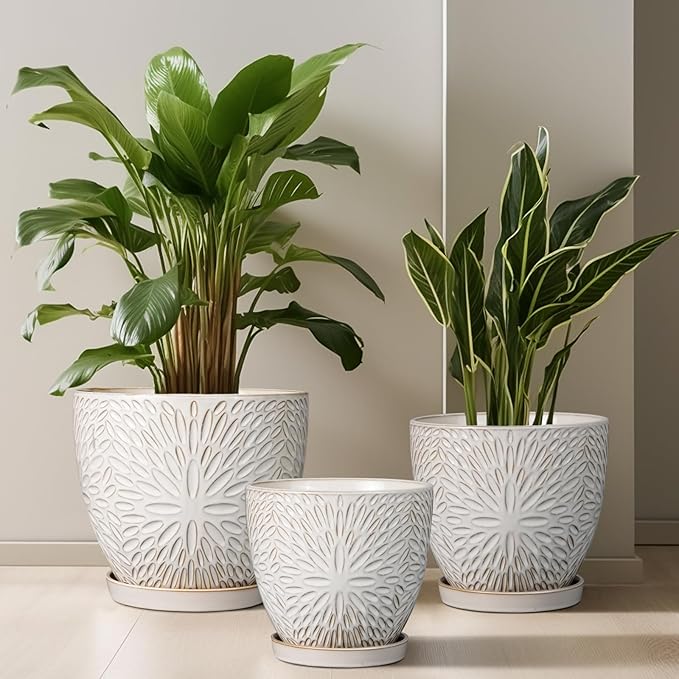 G EPGardening 10 Inch Ceramic Planter Pot with Drainage Hole and Saucer Large Plant Pot for Indoor Plants Outdoor Round Flower Pot for Home Garden Office White-Ruum Studio Home