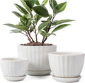 Ceramic Plant Pots with Drainage Holes and Saucers, Round White Flower Pots for Indoor Plant, Diameter 3.3/4.3/5.5 Inches Small Flower Planters Set of 3-Ruum Studio Home