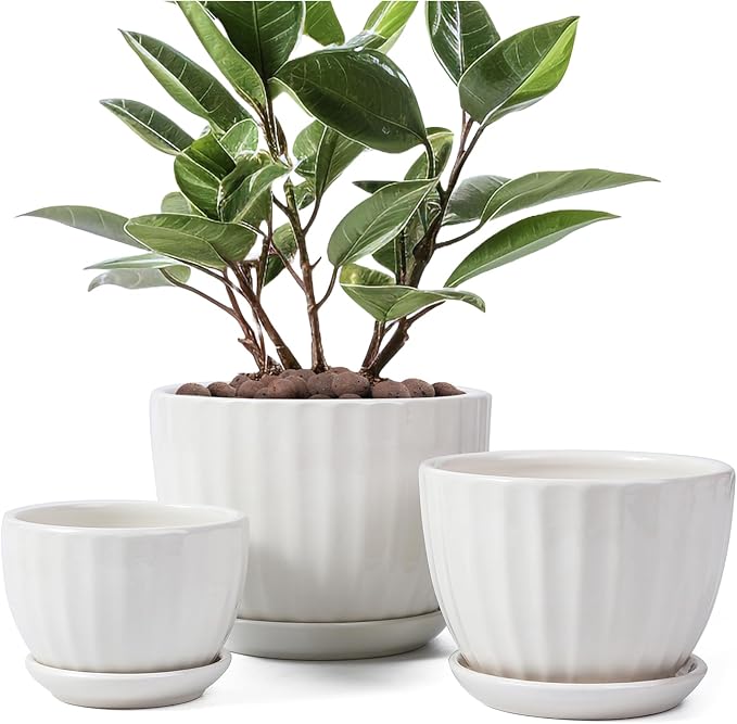 Ceramic Plant Pots with Drainage Holes and Saucers, Round White Flower Pots for Indoor Plant, Diameter 3.3/4.3/5.5 Inches Small Flower Planters Set of 3-Ruum Studio Home
