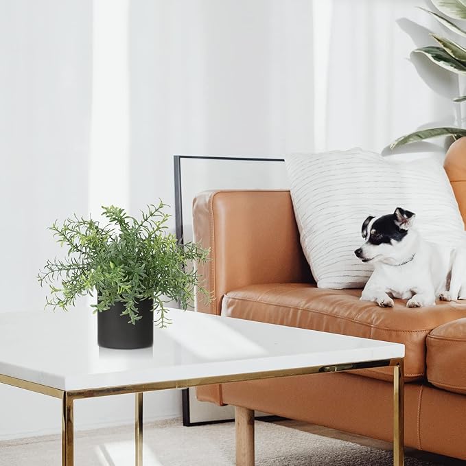 3 Pack Small Fake Plants for Shelf Decor Accents with Ceramic Pot Artificial Potted Plants for Rustic Farmhouse Decor Faux Plants Indoor Fake Potted Plants Artificial for Home Office Bookshelf Decor-Ruum Studio Home