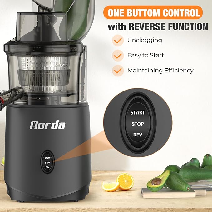 Slow Cold Press Juicer Machines: Masticating Cold Pressed Compact Juicer For Vegetable And Fruit Easy To Clean, Silver Grey-Ruum Studio Home
