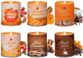 Set of 6 Fall Scented Candles 9 oz Aromatherapy Non Toxic Soy Wax Birthday Candles for Halloween Christmas Easter, Birthday Gifts for Women Men Back to School Gifts for Students, 6 Warmful Scents-Ruum Studio Home