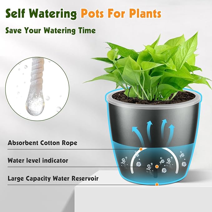 Self Watering Pots for Indoor Plants, 6-Pack 6.7'' Self Watering Planter with Drainage Holes, Small African Violet Pots with Water Indicator, Clear Wick Orchid Pot, Grey-Ruum Studio Home