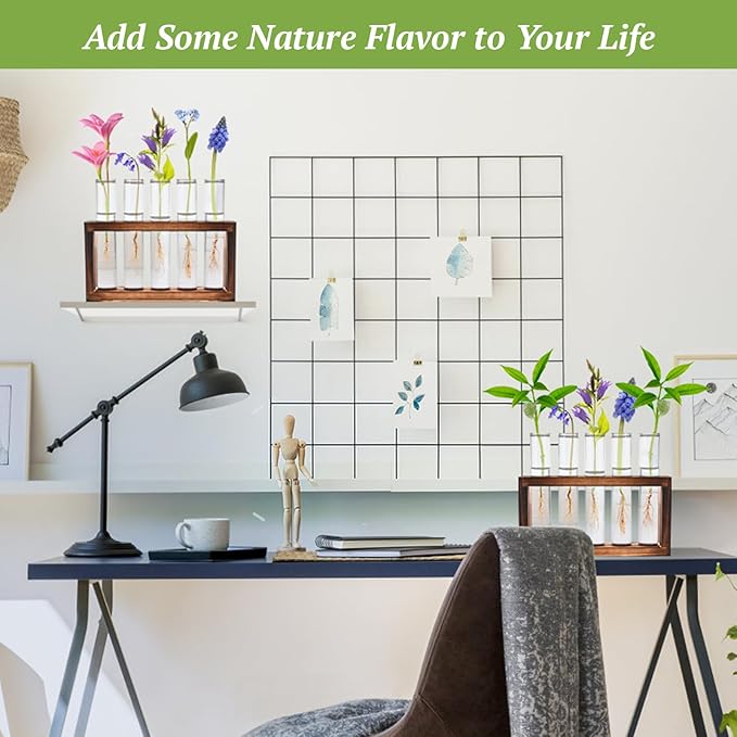 2pcs Desktop Glass Plant Propagation Station with 10 Test Tubes in Wooden Stand - Hydroponic Plants Cutting Office Home Decoration and Garden Decor Terrarium (10 Tubes)-Ruum Studio Home