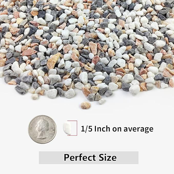 5LBS Succulent and Cactus Gravel Pebbles, 1/5 Inch Natural Decorative Polished Stones, River Rocks for Vases, Aquariums, Terrarium and Outdoor Gardening, Mixed Color-Ruum Studio Home