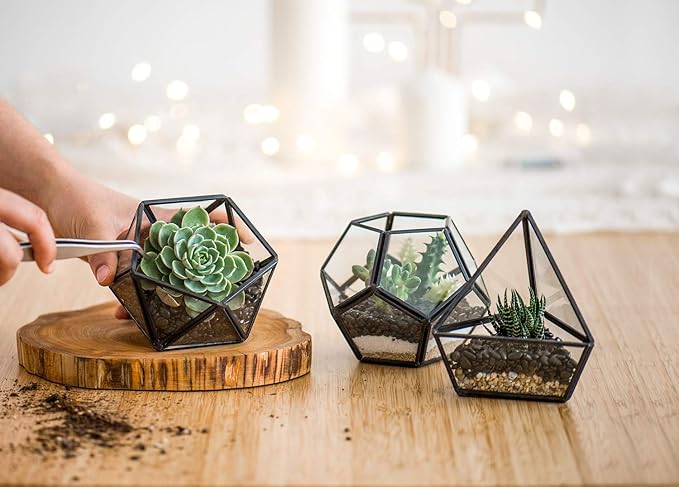 Mkono 4 Inches Mini Glass Geometric Terrarium Container Set of 3 Modern Tabletop Planter Shelves Decor Display Centerpiece for Succulent Miniature Fairy Garden Air Plant, Black(Plant Not Included)-Ruum Studio Home