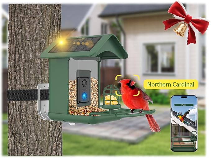 Smart Bird Feeder with Camera, AI Species Identify, Dual Solar Powered Birdfeeder Cam for Outside IP65 with 2.4GHz WiFi, 2K HD Auto Capture Birds Video for Bird Lover (Green)-Ruum Studio Home