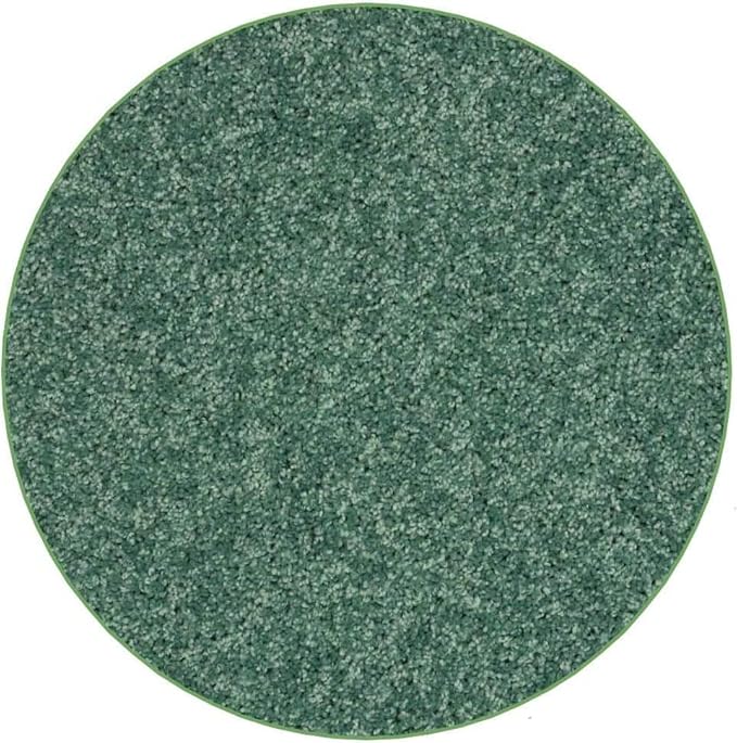 KOECKRITZ Soft and Colorful Kids Classroom Area Rugs (Passes Flammability Pill Test) Many Sizes and Bright Colors to Select from (3' Round, Froggy)-Ruum Studio Home