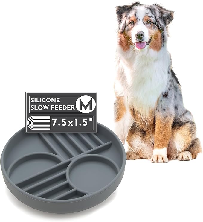 The Slowdown Bowl Silicone Slow Feeder for Dogs & Puppies, Slow Eating Modern Lick Mat Design, Reduces Gulping, Fits 2 Cups 7.5” Across x 1.5” Tall, Mealtime Challenge, Medium-Charcoal-Ruum Studio Home