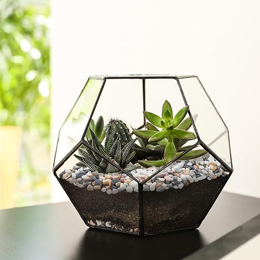 5 lbs Small Rocks for Plants, 1/5 Inch Pebbles for Indoor Plants, Natural Decorative Pea Gravel for Aquarium, Fish Tank, Terrarium, Succulents, Bamboo Plants, Vases, Cactus, Crafts-Ruum Studio Home