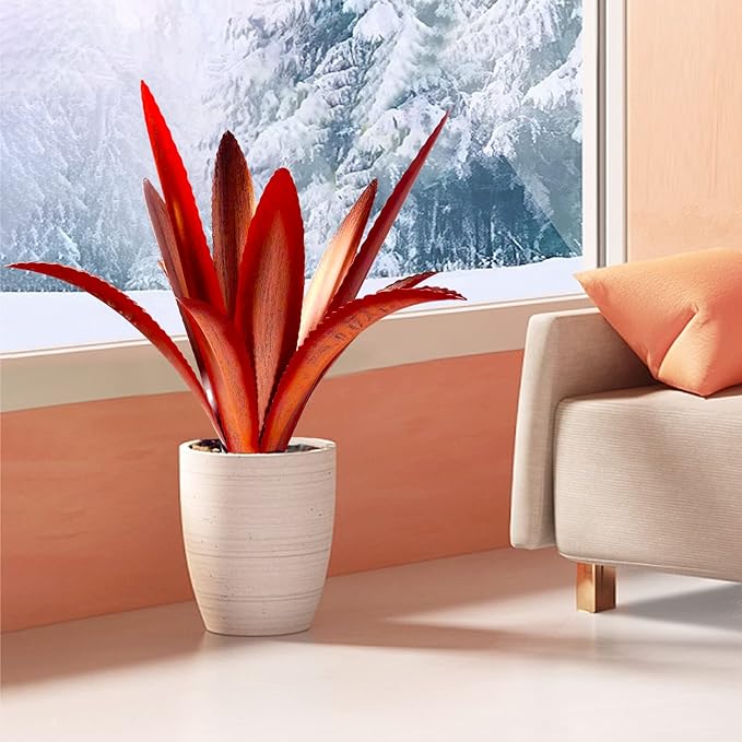 TOMBABY Enlarge Thickened Wind Resistant Metal Agave Garden Art Metal Plant Country Garden Sculpture Statue Outdoor Decoration Agave Metal Plant Courtyard Garden Lawn Ornament Gift (2, 12 Leaves red)-Ruum Studio Home