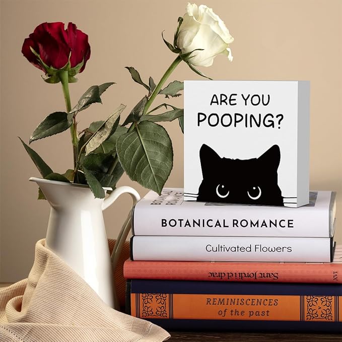 Funny Bathroom Decor Are You Pooping Cat Sign Funny Bathroom Toilet Table Decoration Funny Cat Gifts Bathroom Wall Decor Cat Gifts for Women Gifts for Cat Lovers, Funny Bathroom Wooden Box Sign Decor-Ruum Studio Home